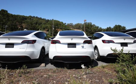 EV warranty startup Amber launches a remote diagnostic service for Teslas