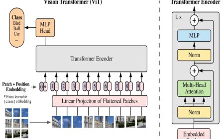 Train Vision Transformer model and run Inference