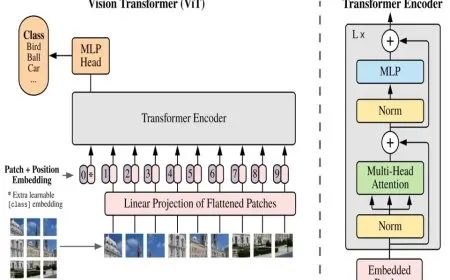 Vision Transformers: Architecture, Training, and Inference Explained