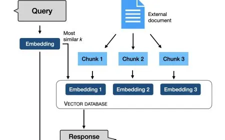 Strategic Frameworks for Using and Finetuning Pretrained Transformers