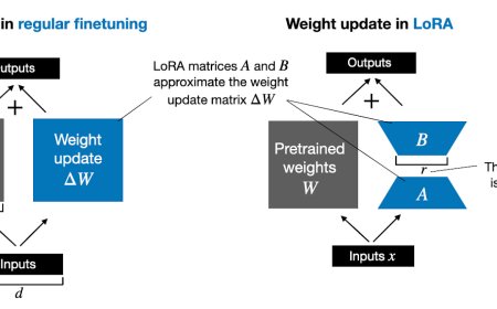 Practical Tips for Finetuning LLMs Using LoRA (Low-Rank Adaptation)
