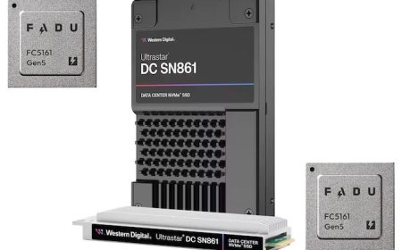 Fadu's FC5161 SSD Controller Breaks Cover in Western Digital's PCIe Gen5 Enterprise Drives