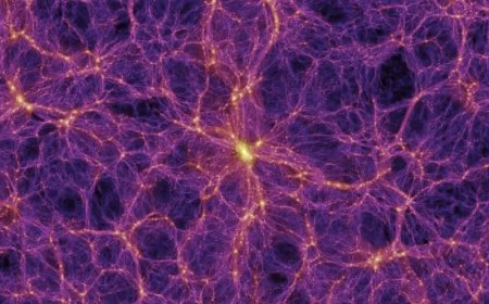 First neutrino interactions detected at Fermilab: A step toward cracking the dark matter mystery?