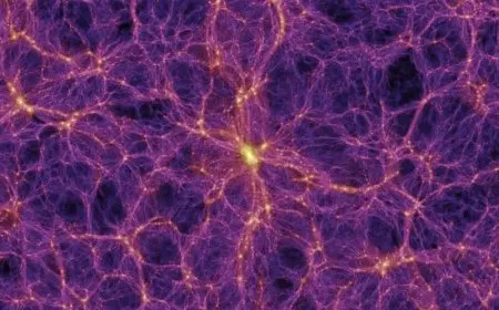 First neutrino interactions detected at Fermilab: A step toward cracking the dark matter mystery?