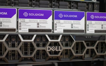 PEAK:AIO, MONAI, and Solidigm: Revolutionizing Storage for Medical AI