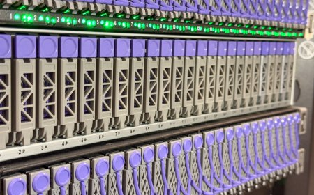 Western Digital OpenFlex Data24 - GPUDirect Performance Analysis