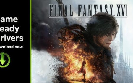 NVIDIA GeForce 561.09 WHQL Game Ready Drivers Released