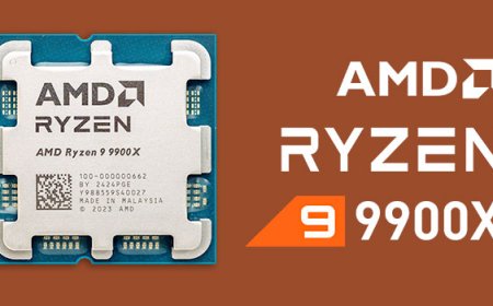 AMD Ryzen 9 9900X Review - But that Price
