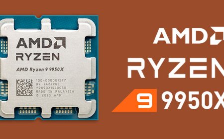 AMD Ryzen 9 9950X Review - The New Flagship