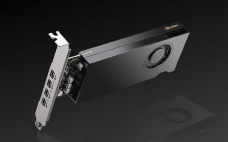 NVIDIA Silently Launches RTX 2000E “Ada” Graphics Card, Single-Slot HFHL Design With ECC Memory & Quad Display