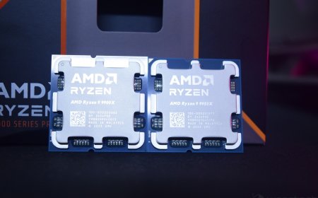 AMD Ryzen 9 9950X & Ryzen 9 9900X CPUs Review: Zen 5 For High-End Desktops