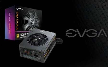 EVGA Responds To PSU Fiasco, Decides To Replace 22 TB of Burned Drives of The Affected User