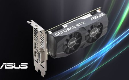 ASUS Unveils Low Profile GeForce RTX 3050 6GB, Features 70W TDP & Dual-Fan Compact Design