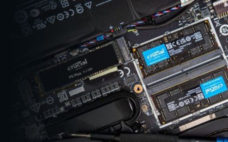 Crucial Preps 12 GB DDR5 Memory For Desktop & Laptop PCs, 5600 MT/s Speeds & Higher Capacity