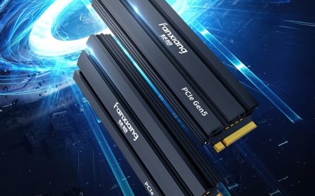 Fanxiang Intros High-End PCIe Gen5 S900PRO Series NVMe SSDs, Up To 12 GB/s Speeds