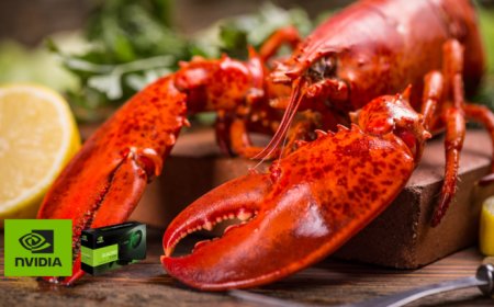 70 NVIDIA Quadro GPUs Attempted To Be Smuggled Among Live Lobsters in China