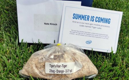 The Tiger Roars! Intel’s Next Gen 10nm Tiger Lake CPU Family All Set For Summer 2020 Launch, Reveals First Marketing Kit