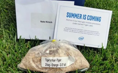 The Tiger Roars! Intel’s Next Gen 10nm Tiger Lake CPU Family All Set For Summer 2020 Launch, Reveals First Marketing Kit