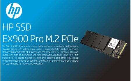 HP Releases The HP EX900 Pro M.2 SSD