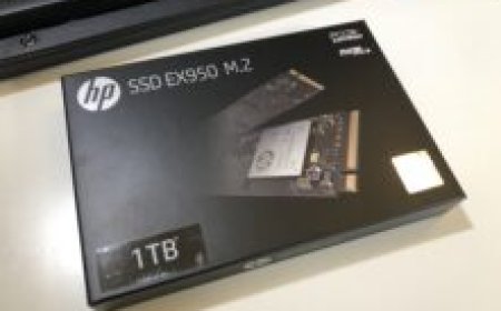 HP SSD EX950 M.2 1TB NVMe Review – Performance You Didn’t See Coming