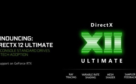 NVIDIA’s First DirectX 12 Ultimate Certified Driver For Developers Out – Supports DXR Tier 1.1, Sampler Feedback, VRS & Mesh Shaders