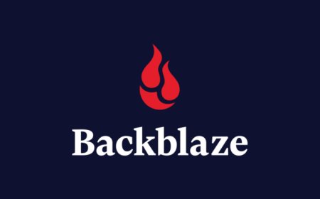 Backblaze Reveals 2022 SSD Life Expectancy Statistics: Temperatures Are Potential Factor