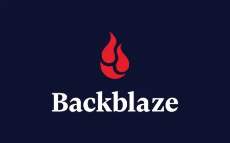 Backblaze Reveals 2022 SSD Life Expectancy Statistics: Temperatures Are Potential Factor