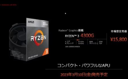Renoir Resurrected! AMD Intros Zen 2 Based Ryzen 3 4300G APU For Asian DIY Market, Priced Around $110 US