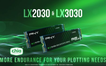 PNY Launches Its LX2030 & LX3030 M.2 NVMe Gen 3 SSDs, Certified For Chia (XCH) Plotting