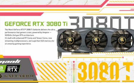 Manli Releases High-End GeForce RTX 3080 Ti Gallardo Graphics Card