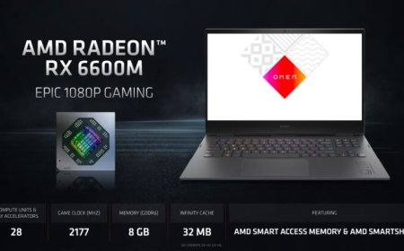 AMD Radeon RX 6600M ‘Navi 23’ Laptop RDNA 2 GPU Tested, Slower Than The NVIDIA RTX 3060