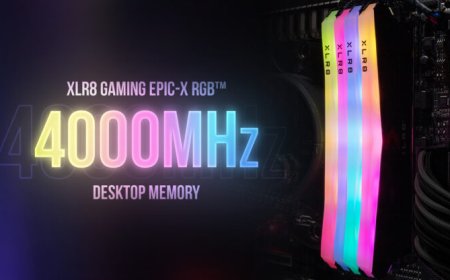 PNY XLR8 Gaming EPIC-X RGB 16 GB DDR4 Memory Kit Launched – Feature 4000 MHz Speeds, CL18 Timings & Fancy RGB Lighting