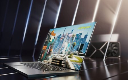 NVIDIA GeForce RTX 3080, RTX 3070, RTX 3060 Mobility GPU TGP, cTGP, PPAB Power Configurations Detailed