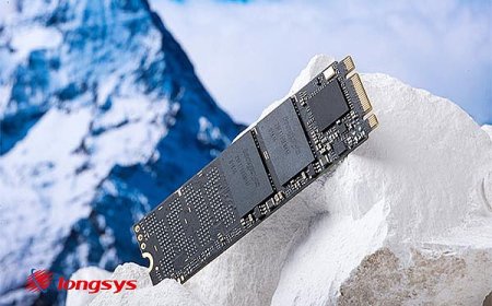 FORESEE Introduces The P800 M.2 NVMe SSD