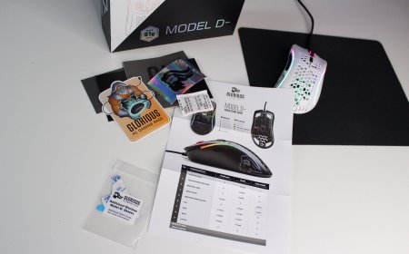 Glorious PC Gaming Race Model D- Ultralight RGB Gaming Mouse