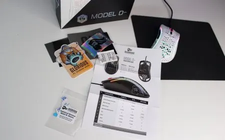 Glorious PC Gaming Race Model D- Ultralight RGB Gaming Mouse