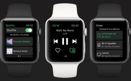 Spotify Apple Watch App Gets Standalone Streaming