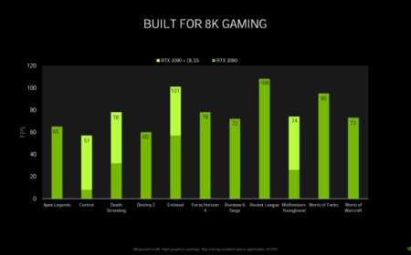 NVIDIA GeForce RTX 3090 And RTX 3080 Reference Boards Smile For The Camera