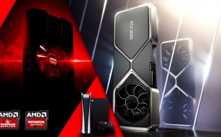 Official Hardware And Gaming Survey 2H 2020