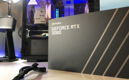 NVIDIA GeForce RTX 3080 Founders Edition Unboxing And Gallery