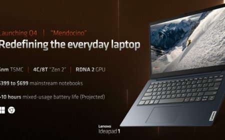 AMD Mendocino APU Specs Leak Out: Athlon & Ryzen 5 Lineup For FT6 Socket, 2 RDNA 2 Compute Units, Up To 32 GB LPDDR5, 4 PCIe Gen 3 Lanes