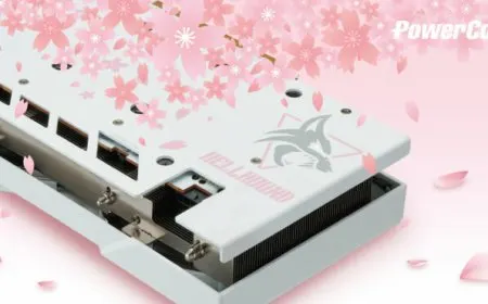 PowerColor AMD Radeon RX 6650 XT Hellhound Sakura Edition graphics card