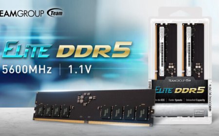 TEAMGROUP Upgrades Its Elite DDR5 Memory Kits With Faster Speeds, U-DIMM Now Clocked at DDR5-5600 Mbps