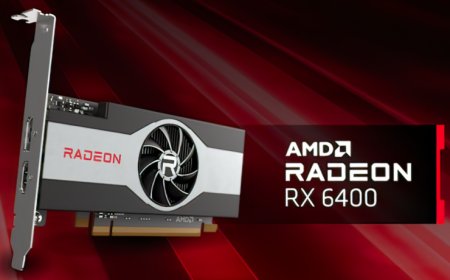 AMD Radeon RX 6400 Launched at $159 US: First RDNA Graphics Card To Come In Low-Profile Flavors, 53W TDP Aimed at Entry-Level PCs