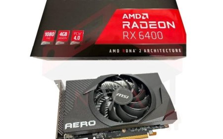 Custom AMD Radeon RX 6400 graphics cards listed by retailers weeks before launch