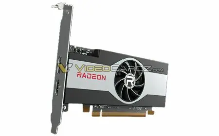The AMD Radeon RX 6400 graphics card features custom model variants for DIY builders.