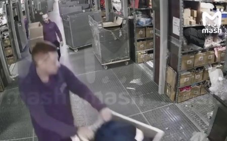 Russian warehouse employees imprisoned after the theft of 20 NVIDIA GeForce RTX 3070 Ti Graphics Cards