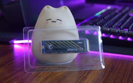 MSI SPATIUM M450 1 TB PCIe 4.0 NVMe SSD Review – Gen 4 For Mainstream