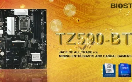 BIOSTAR TZ590-BTC motherboard built for gamers and cryptocurrency miners.