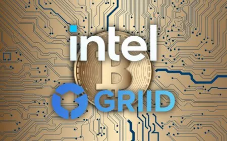 The Intel Bonanza Mine Bitcoin mining chip rests on a circuit board.